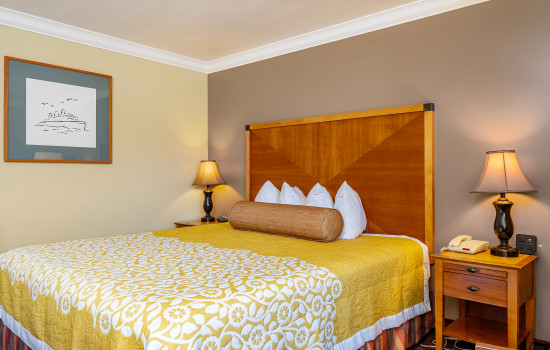 Aloha Inn - Aloha Inn - Single Bed Room