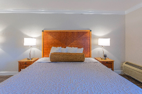 Aloha Inn - Guest Room