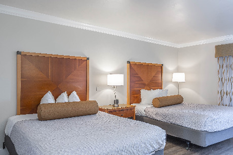 Aloha Inn - Guest Room